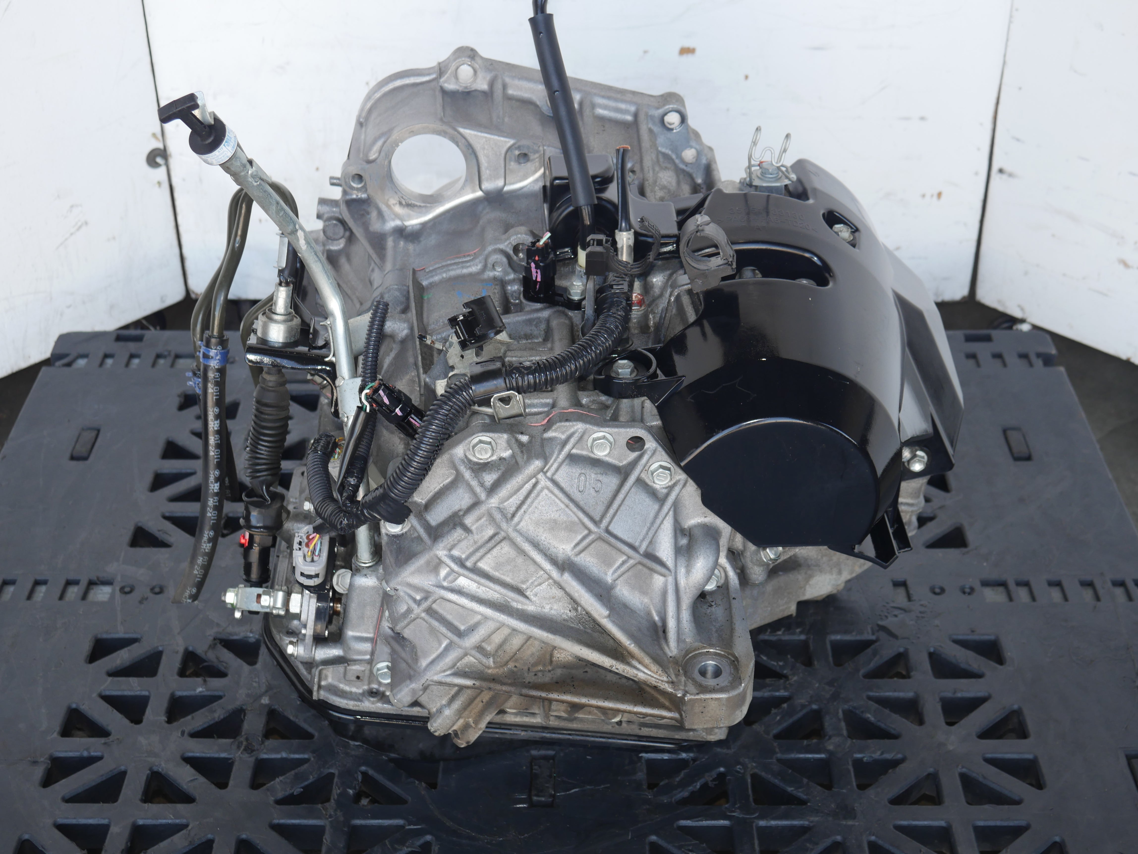 P1170582.jpg?v=1749250090