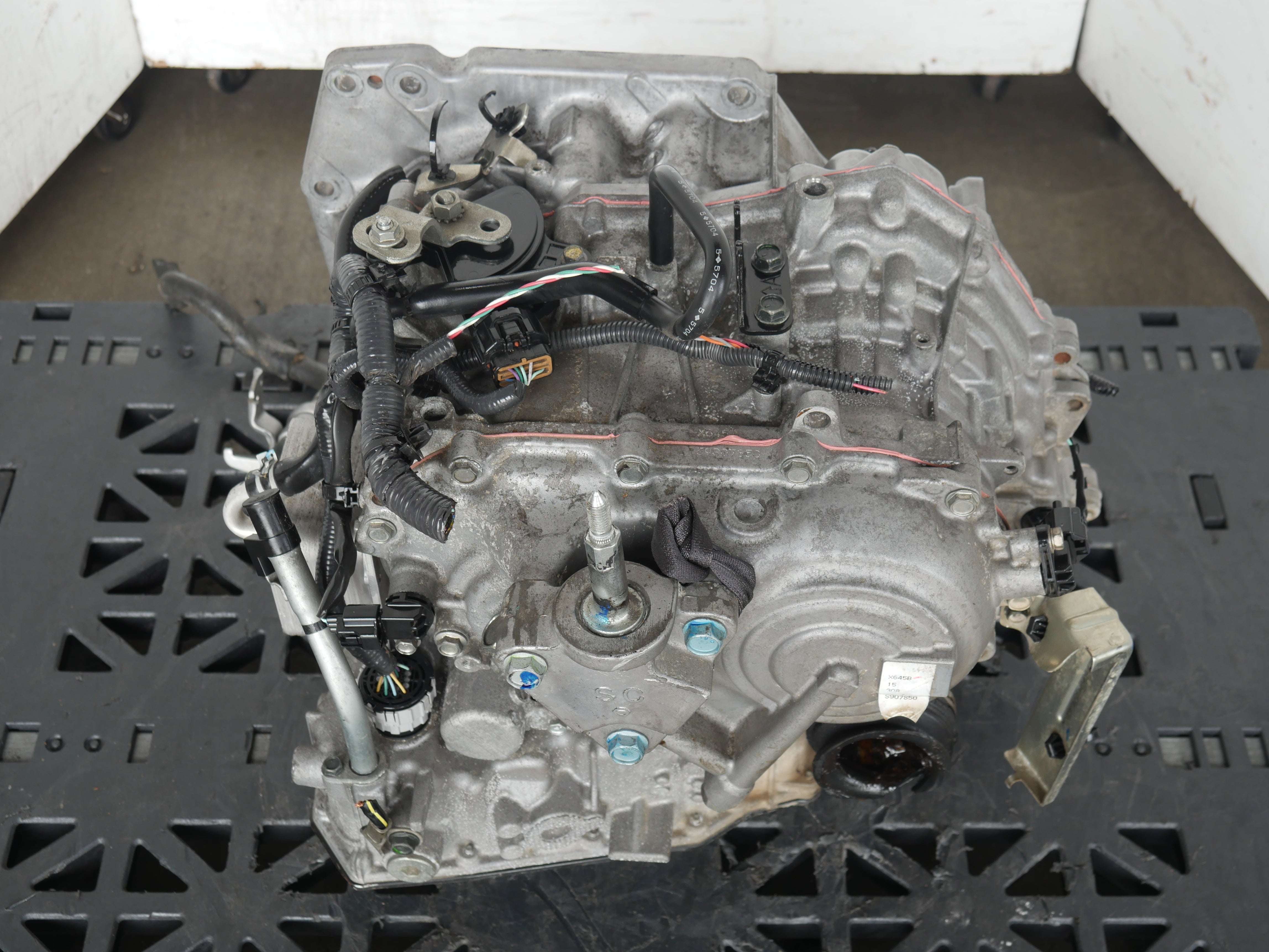 P1170592.jpg?v=1749404702